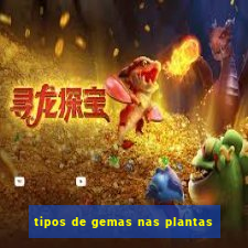 tipos de gemas nas plantas